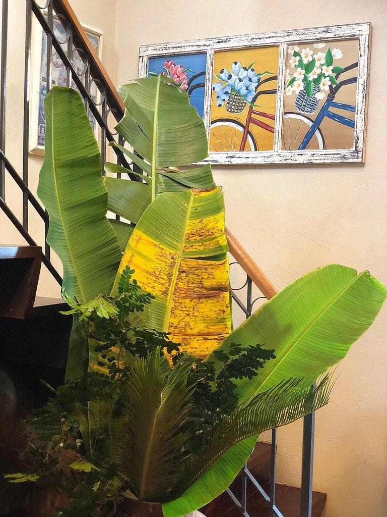 Casa Carmel, Encanto, Naturaleza, piscina en Búzios/RJ
